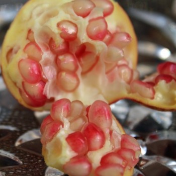 Granatapfel Jaune (Pflanze)