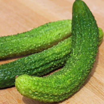 Gurke Ameliore de Bourbonne (Samen)