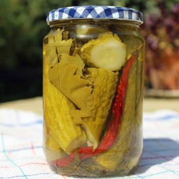 Gurke Ameliore de Bourbonne (Samen)