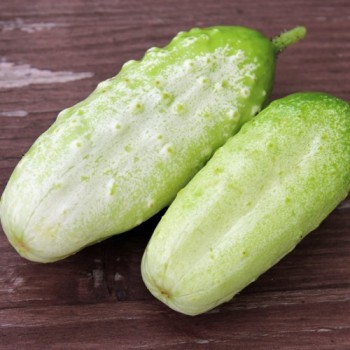 Gurke de Russie (Samen)