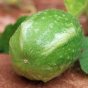 - Kopie - Kopie - Kopie - Kopie