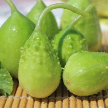 - Kopie - Kopie - Kopie - Kopie