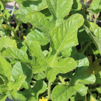 - Kopie - Kopie - Kopie - Kopie