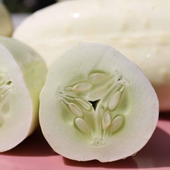 Gurke White Wonder (Samen)