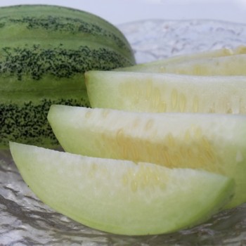 Gurkenmelone Tondo di Manduria (Samen)