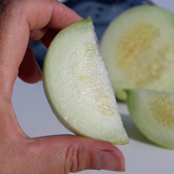 Gurkenmelone Tondo di Manduria (Samen)