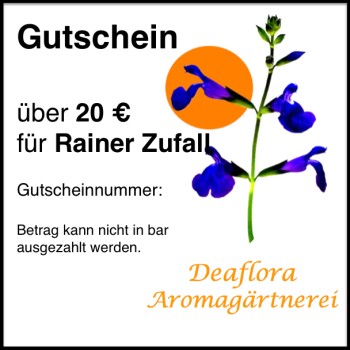 Geschenk-Gutschein (20 Euro)