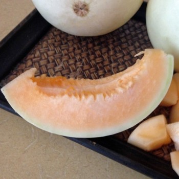 Honigmelone Honey Dew Orange Fleshed (Samen)