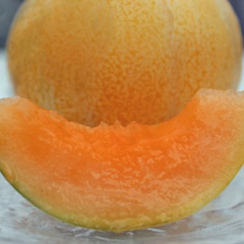 - Kopie - Kopie - Kopie - Kopie