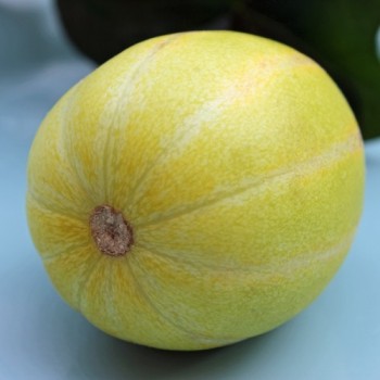 - Kopie - Kopie - Kopie