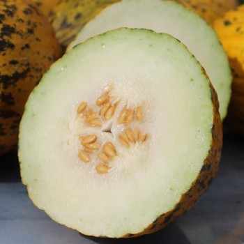 Honigmelone Turkish Leopard (Samen)