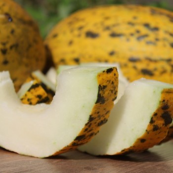 Honigmelone Turkish Leopard (Samen)