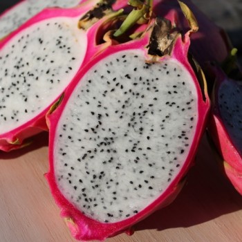 Pitahaya weißfleischig (Samen)