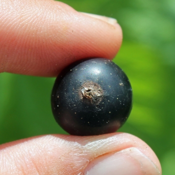 - Kopie - Kopie - Kopie - Kopie - Kopie