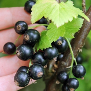 - Kopie - Kopie - Kopie - Kopie - Kopie