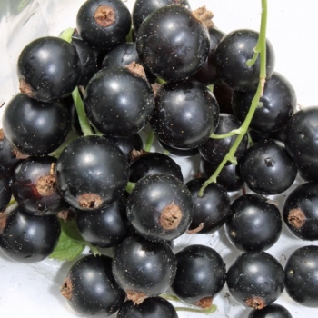 - Kopie - Kopie - Kopie - Kopie - Kopie