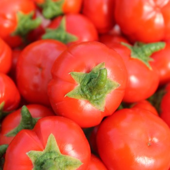 Kannibalen Tomate (Samen)