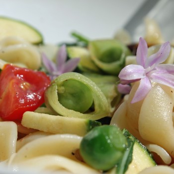Knackerbse Sugar Snap (Samen)
