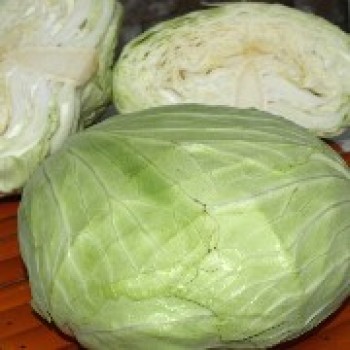 Weißkohl Flat Dutch (Samen)