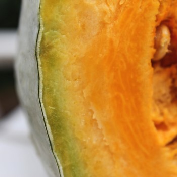 Kürbis Guatemala Blue Banana (Samen)