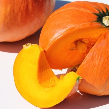 Kürbis Amazonka (Buschkürbis) (Samen)
