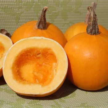 Kürbis Ball Orange (Samen)