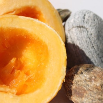 Kürbis Ball Orange (Samen)