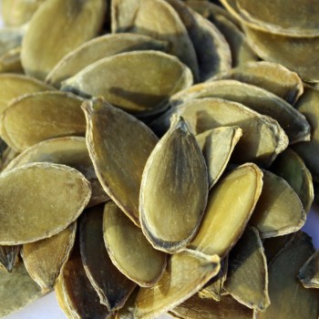 Kürbis Miranda (Buschkürbis) (Samen)