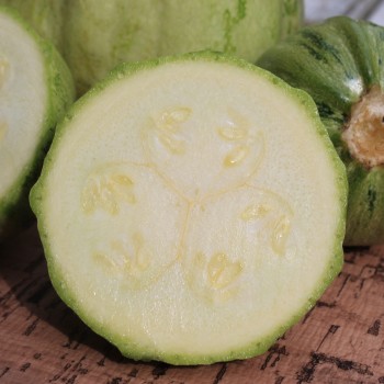 Kürbis Tonda Padana (Samen)