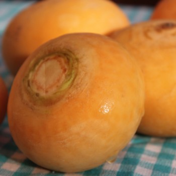 Mairübchen Petrowski (Samen)