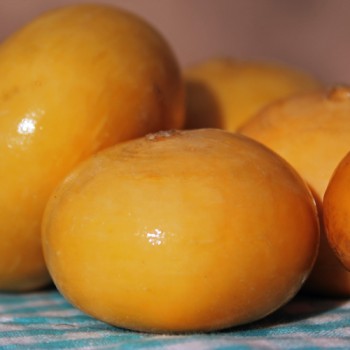 Mairübchen Petrowski (Samen)
