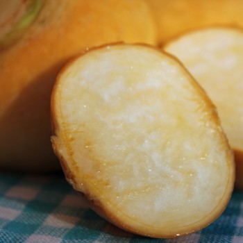 Mairübchen Petrowski (Samen)