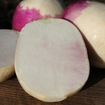 Mairübchen Mezza Lunga (Samen)