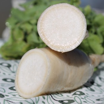 Mairübchen Vertus Marteau  (Samen)