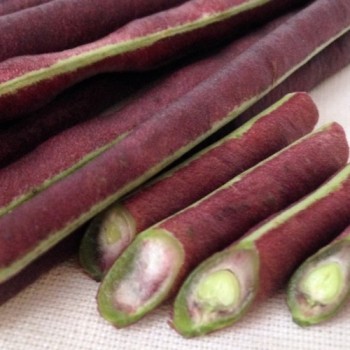 Augenbohne Pink Eyed Purple Hulled (Samen)