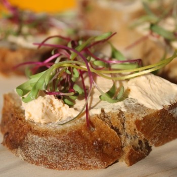 Microgreens Happy Rainbow Mischung (Samen)