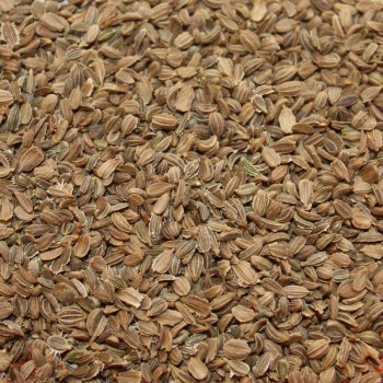 Microgreens Möhrenmischung (Samen)