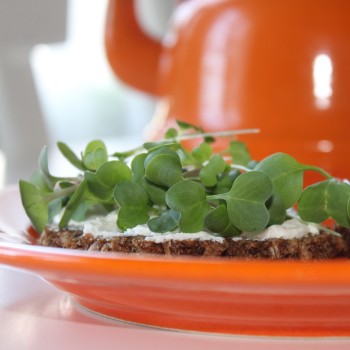 Microgreens Scharfe Mischung (Samen)