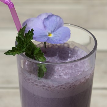 Großfrüchtige Felsenbirne Edelweiß (Pflanze)