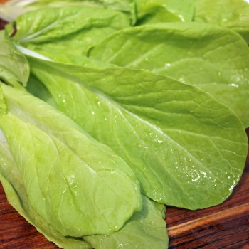 Mini-Chinakohl Round Leaf (Samen)