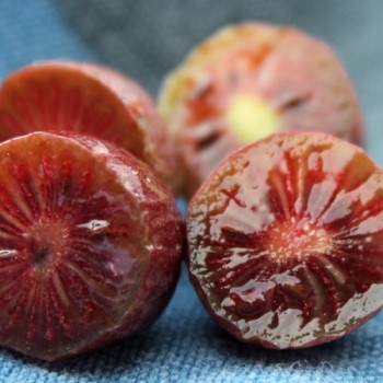 Mini-Kiwi Cherry Bomb weiblich (Pflanze)