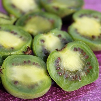 Mini-Kiwi Meyer's Cordifolia weiblich (Pflanze)