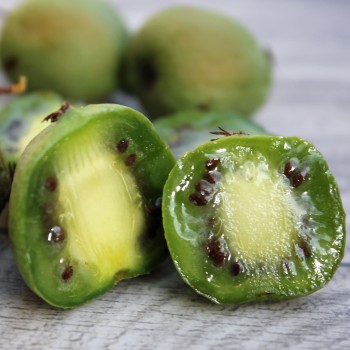 Mini-Kiwi Urodnaya Michurin weiblich (Pflanze)