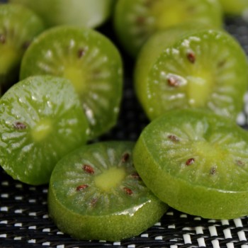 Mini-Kiwi Marmelada weiblich (Pflanze)