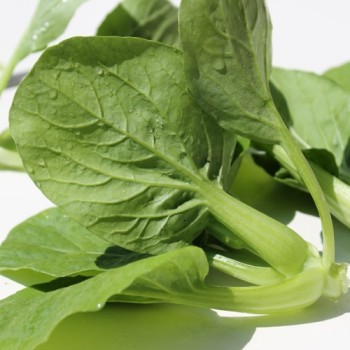 Mini Pak Choi Hong Tae (Samen)