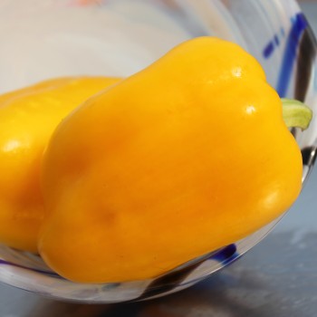 Paprika Dunjasha (Samen)