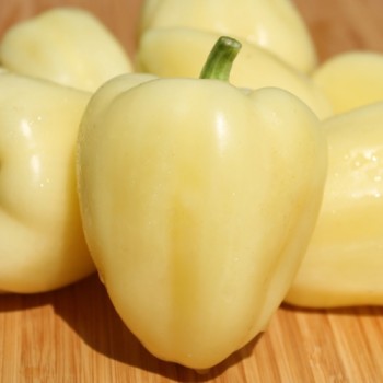Paprika Zorza (Samen)