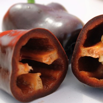 Paprika Karamel (Samen)