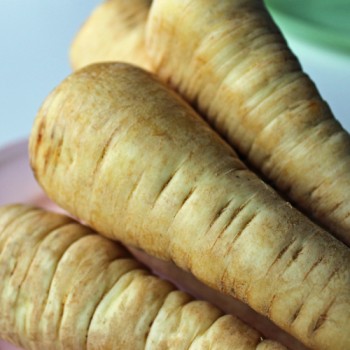 Pastinake Tender and True (Samen)