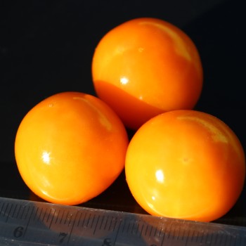 Andenbeere Deep Orange (Samen)